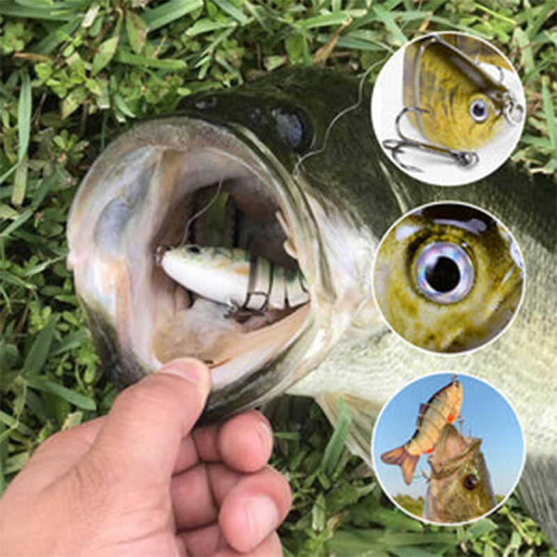 Bionisches Schwimmköder-Set