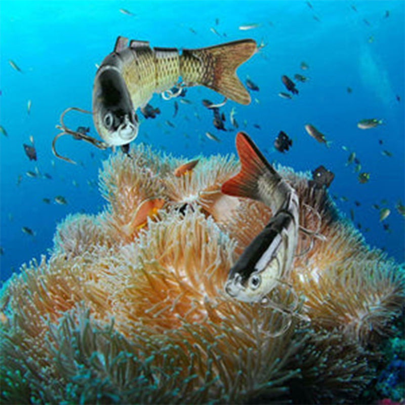 Bionisches Schwimmköder-Set