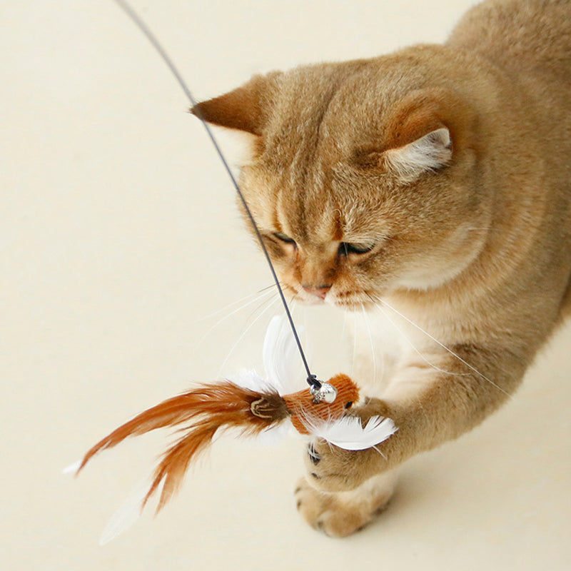 Katzenspielzeugstab in Form eines simulierten Vogels