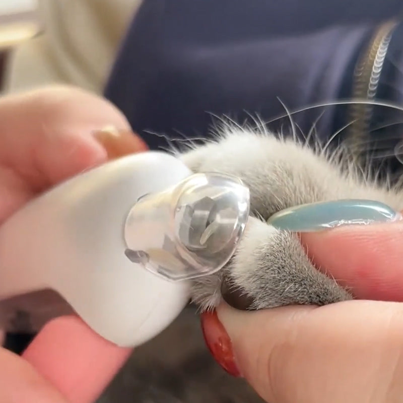 Katzennagelknipser mit verstellbarer Blende