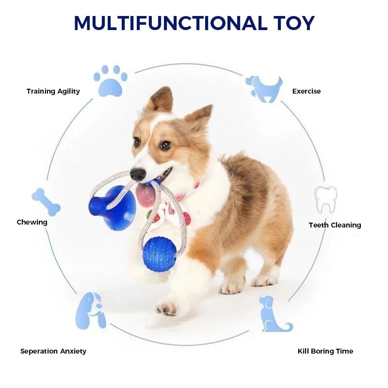 Multifunktionales Molaren-Beißspielzeug für Haustiere