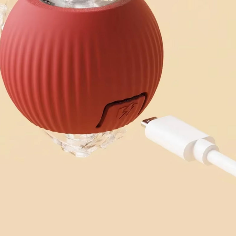 Interaktiver Indoor-Katzenball
