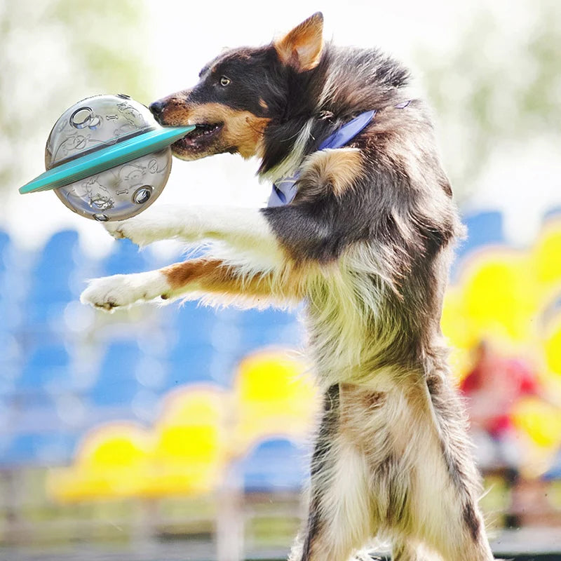Beißball für Haustiere