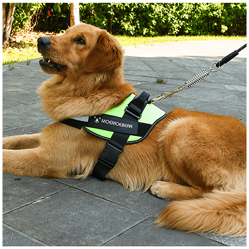 Reflektierendes All-in-One Anti-Zug-Hundegeschirr