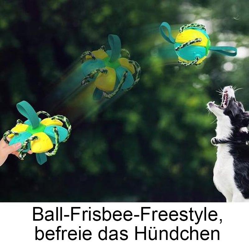 Engeliebe Bissfestes Hundespielzeug Frisbeefußball