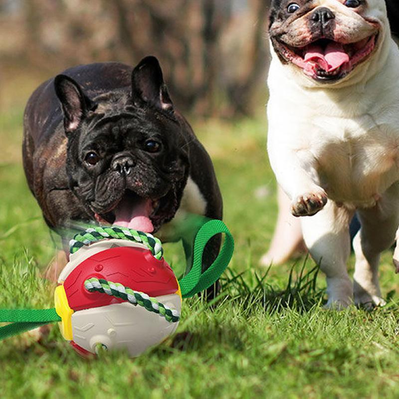 Engeliebe Bissfestes Hundespielzeug Frisbeefußball