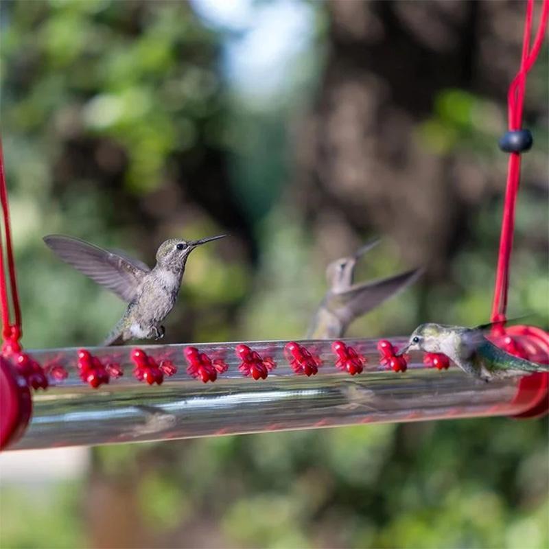 Hängender Kolibri-Feeder