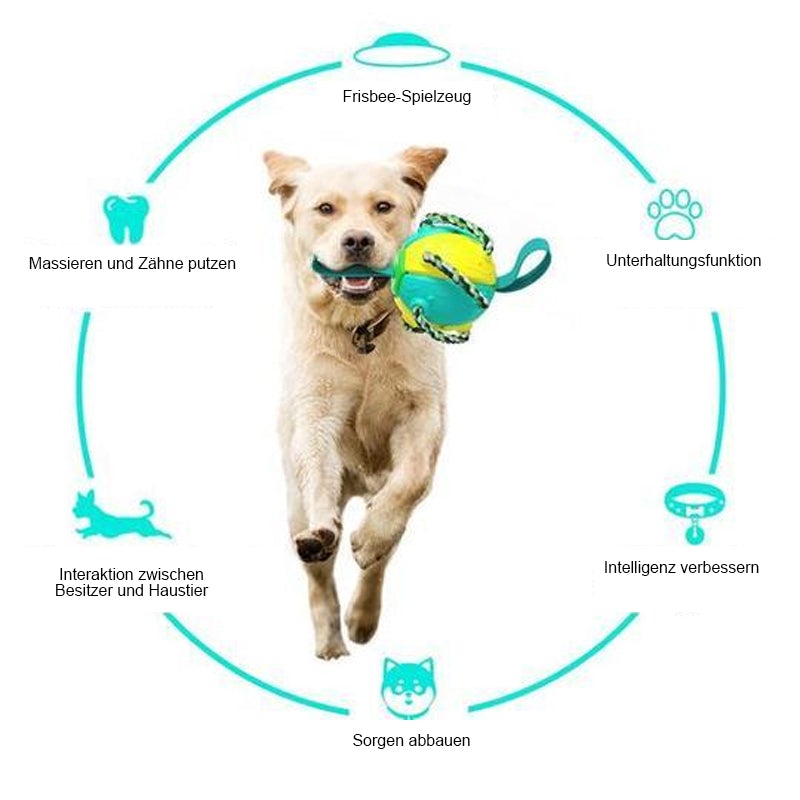 Engeliebe Bissfestes Hundespielzeug Frisbeefußball
