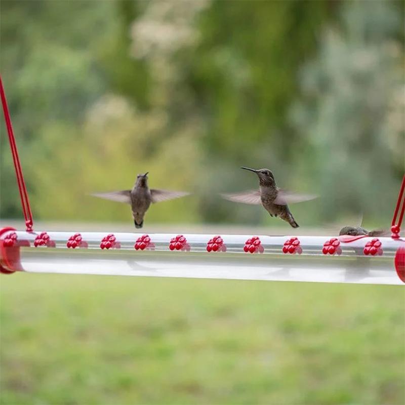 Hängender Kolibri-Feeder