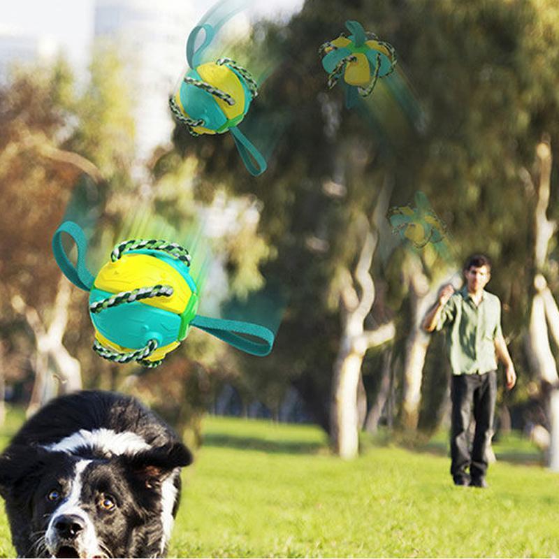 Engeliebe Bissfestes Hundespielzeug Frisbeefußball