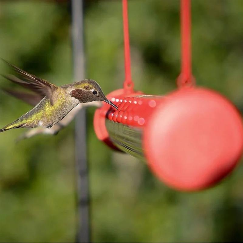 Hängender Kolibri-Feeder