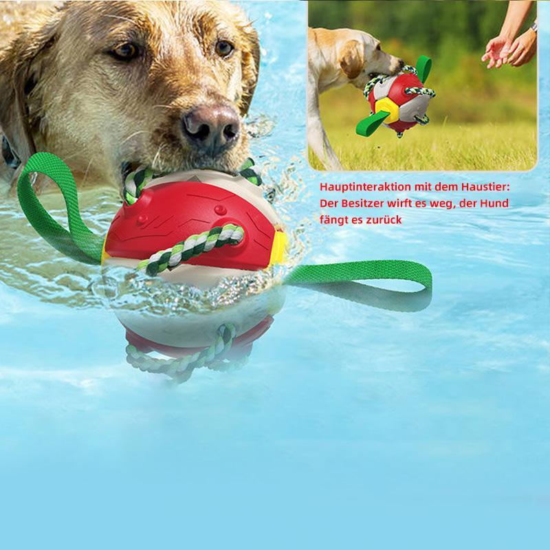 Engeliebe Bissfestes Hundespielzeug Frisbeefußball