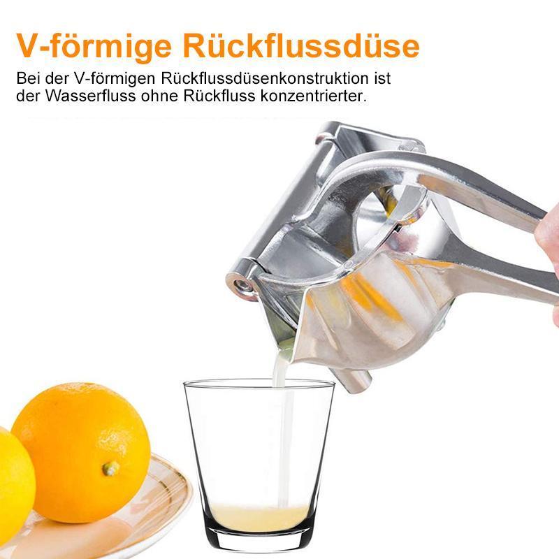 Edelstahl-Fruchtsaftpresse