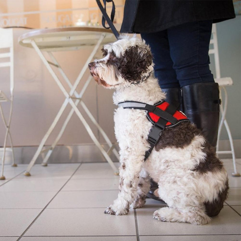 Reflektierendes All-in-One Anti-Zug-Hundegeschirr