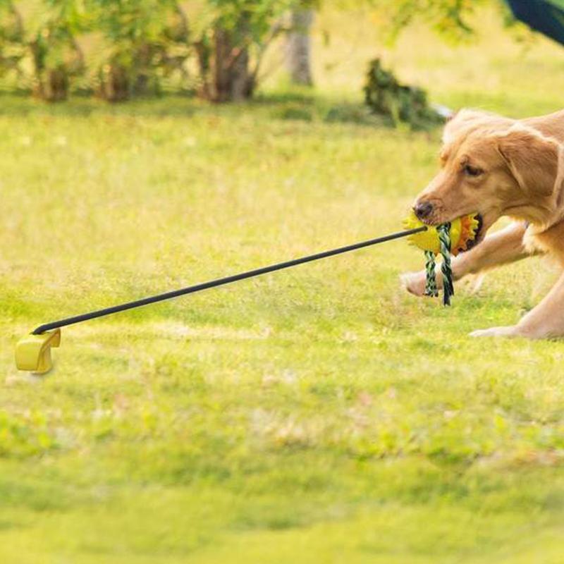 Pet Seilball Outdoor-Trainingsspielzeug