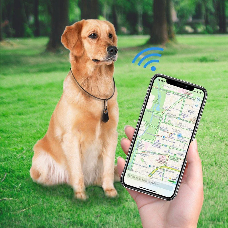 Haustiere GPS-Tracker & Aktivitätsmonitor - hallohaus