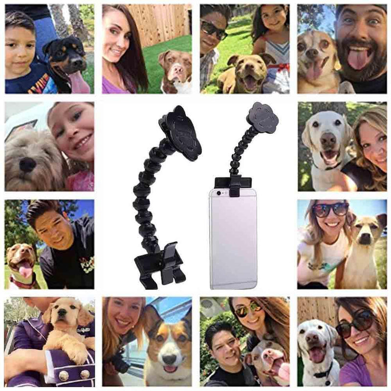 Schönes Haustier Selfie-Stick
