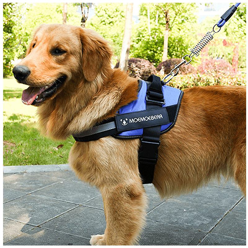 Reflektierendes All-in-One Anti-Zug-Hundegeschirr