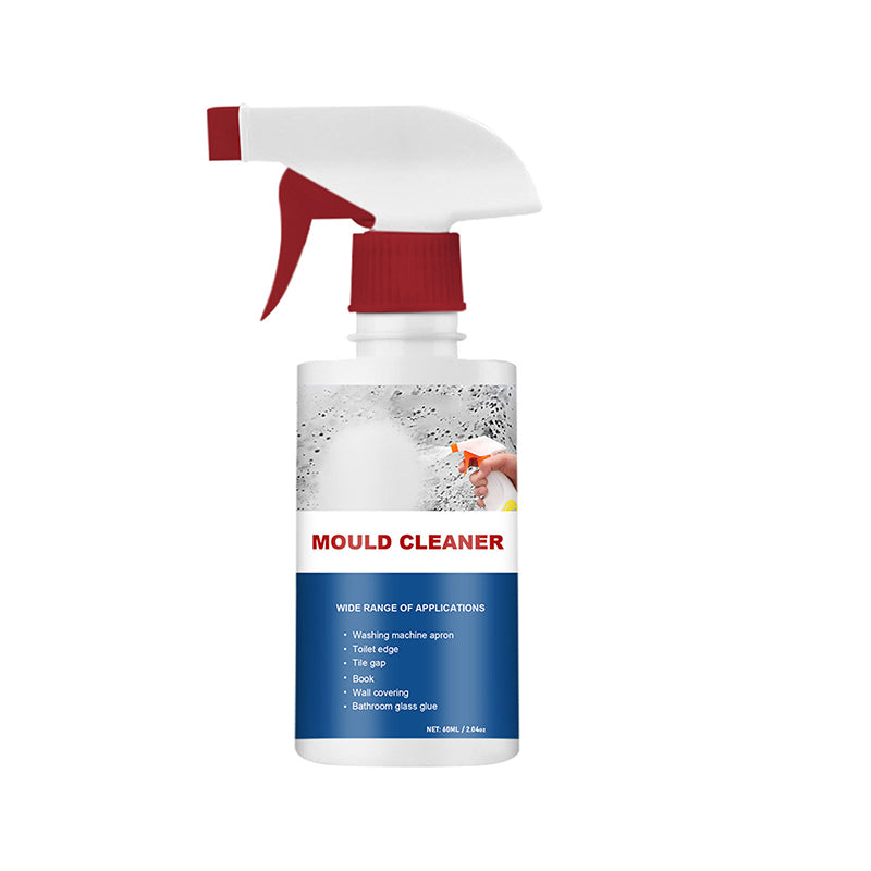 Anti-mold cleaning foam