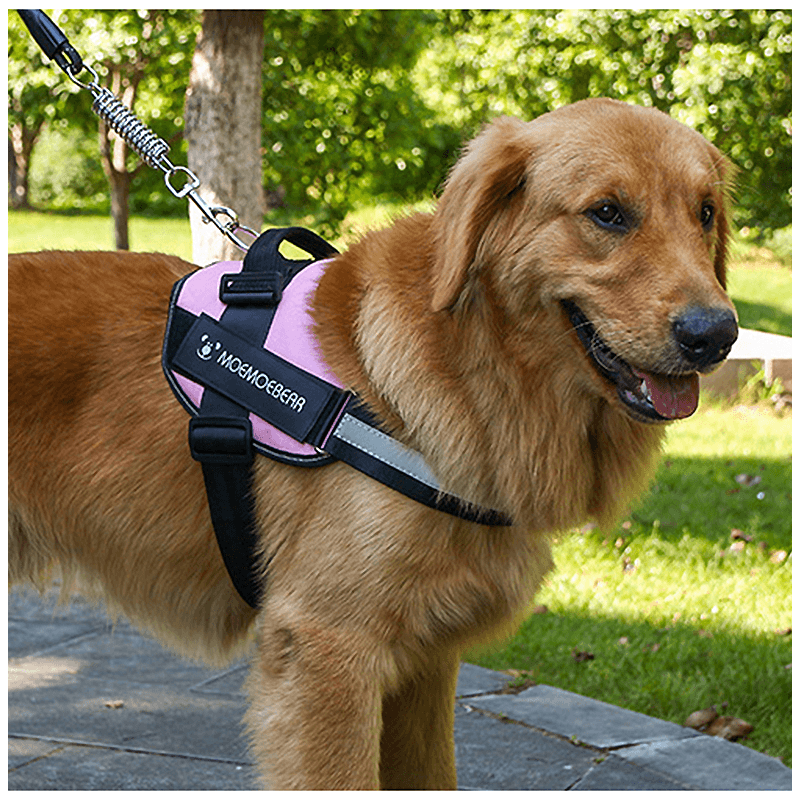 Reflektierendes All-in-One Anti-Zug-Hundegeschirr